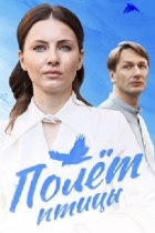 Полёт птицы