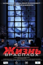 Жизнь врасплох