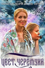 Цвет черёмухи