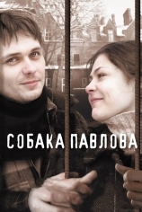 Собака Павлова