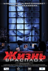 Жизнь врасплох